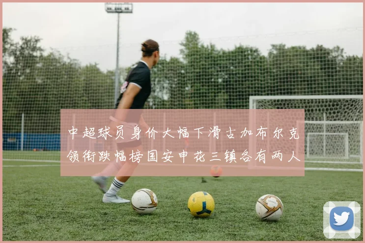 中超球员身价大幅下滑古加布尔克领衔跌幅榜国安申花三镇各有两人上榜