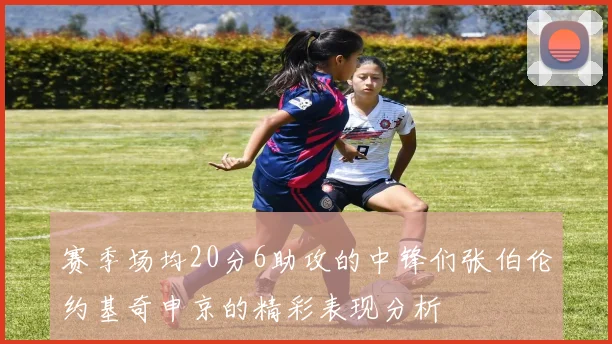 赛季场均20分6助攻的中锋们张伯伦约基奇申京的精彩表现分析