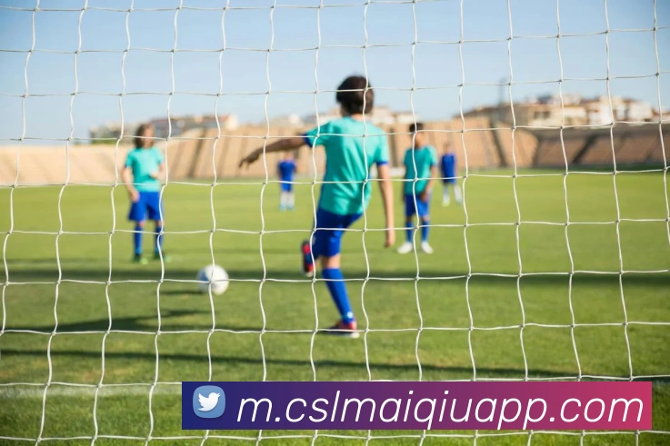 中超买球服务体系